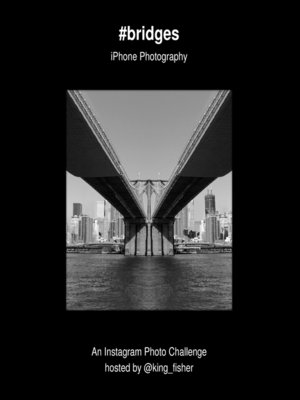 cover image of #bridges